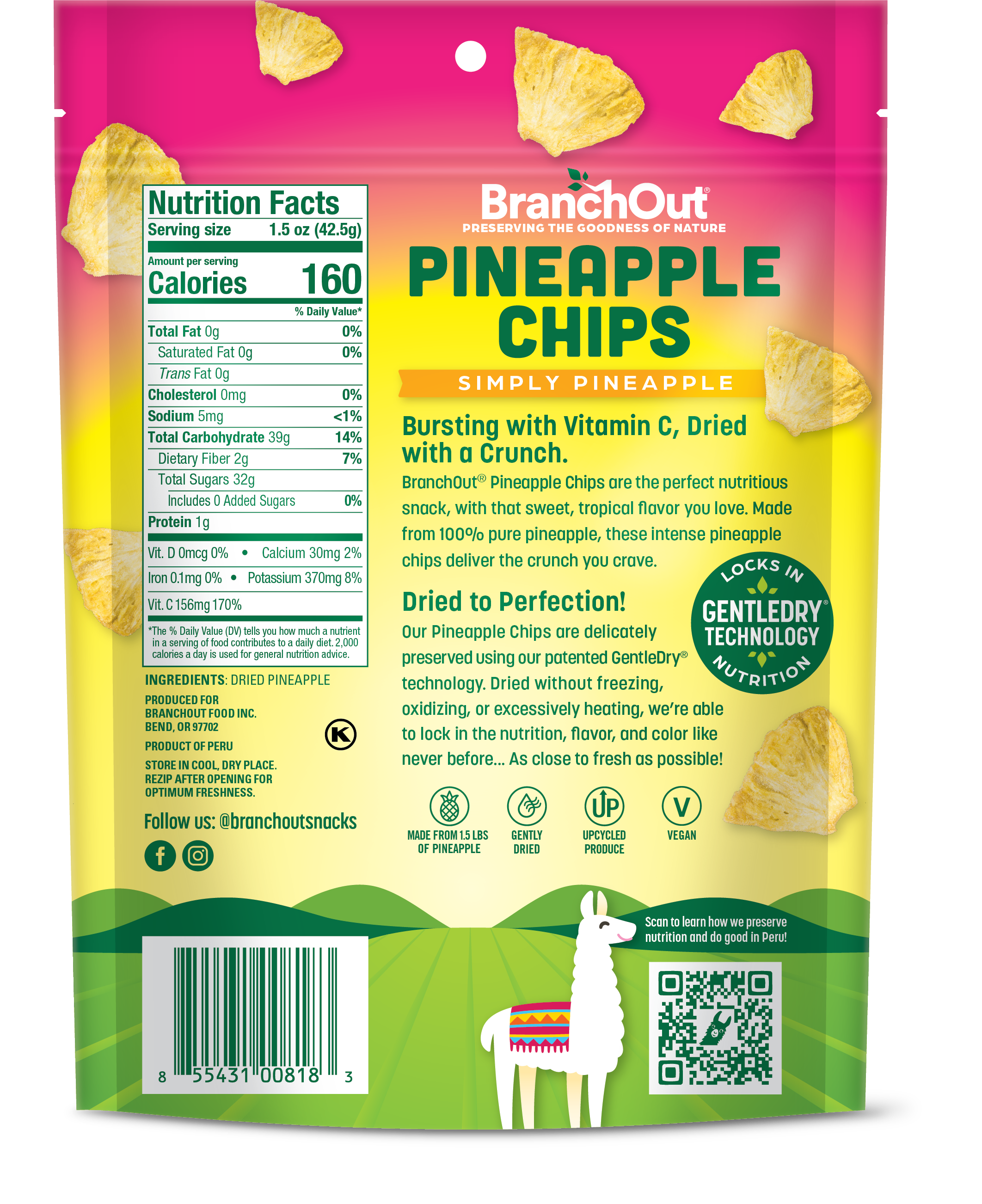 Pineapple Chips