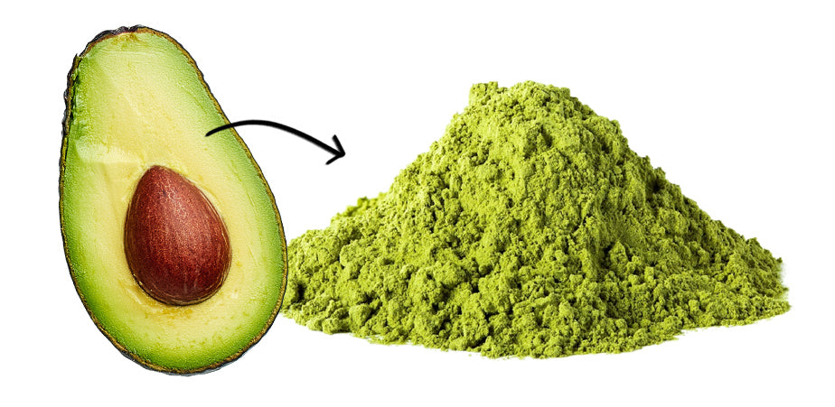 5 Delicious Recipes Using Avocado Powder