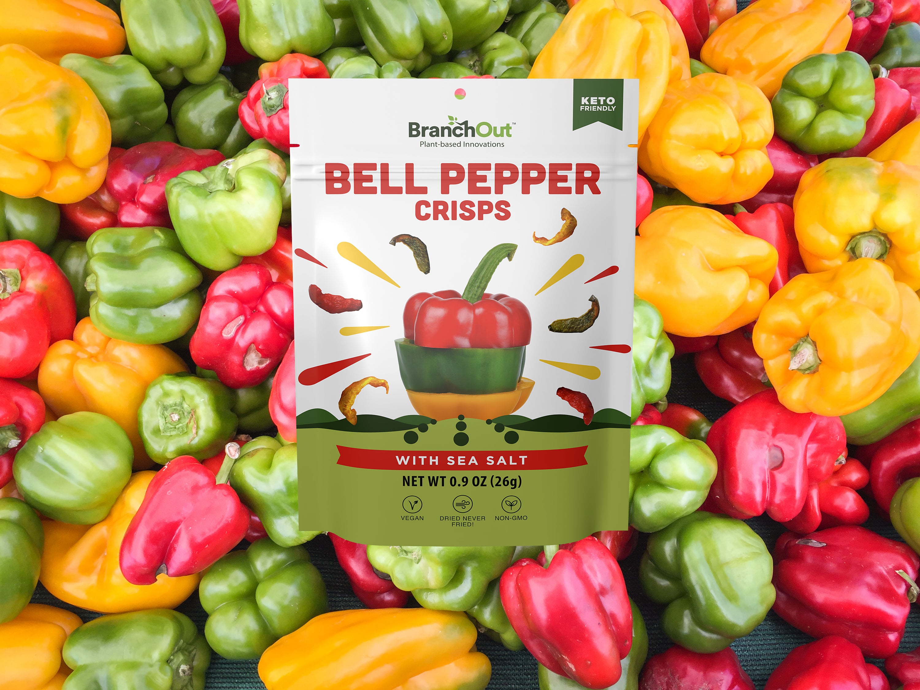 The Colorful and Nutritious Vegetable: Exploring the Benefits of Bell Peppers