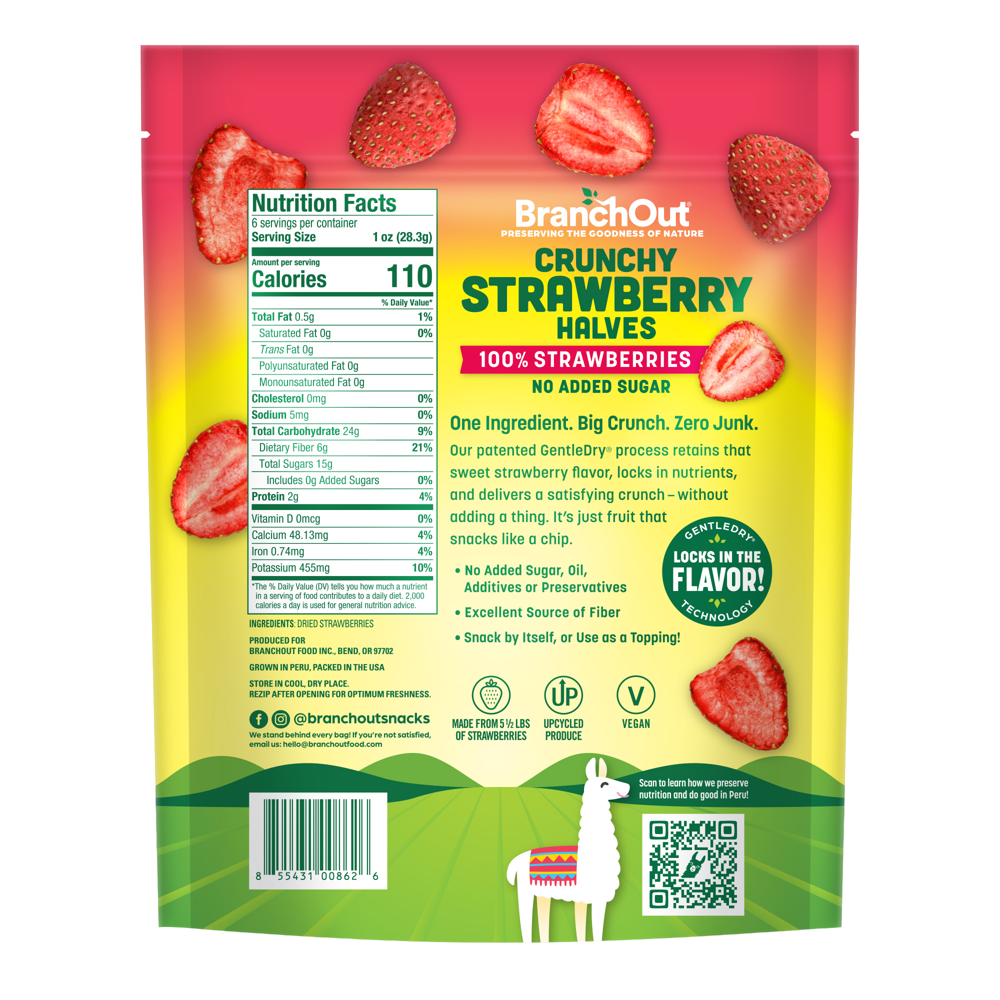 BranchOut Crunchy Strawberry Halves Party Bag Front