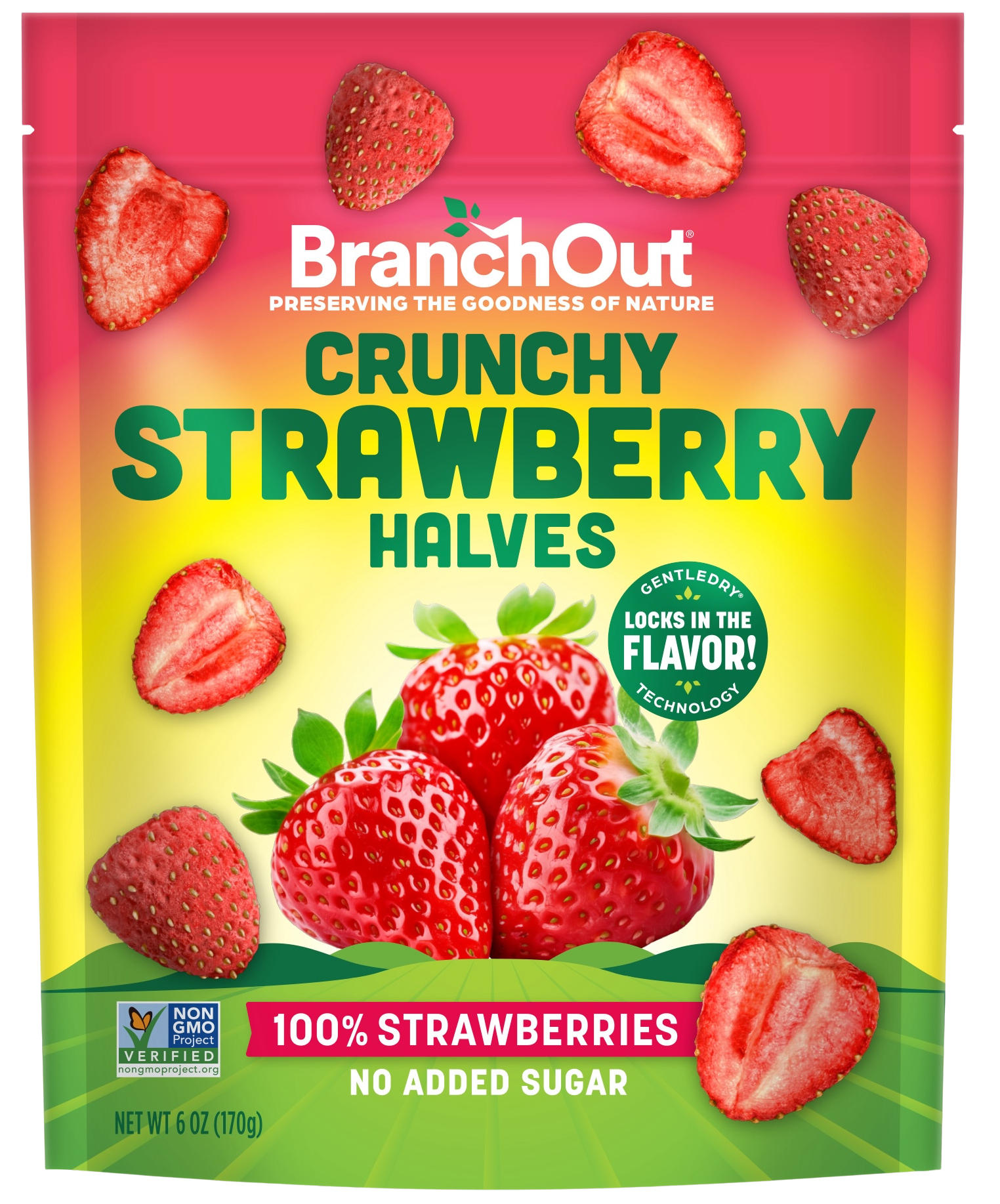 BranchOut Crunchy Strawberry Halves Party Bag Front