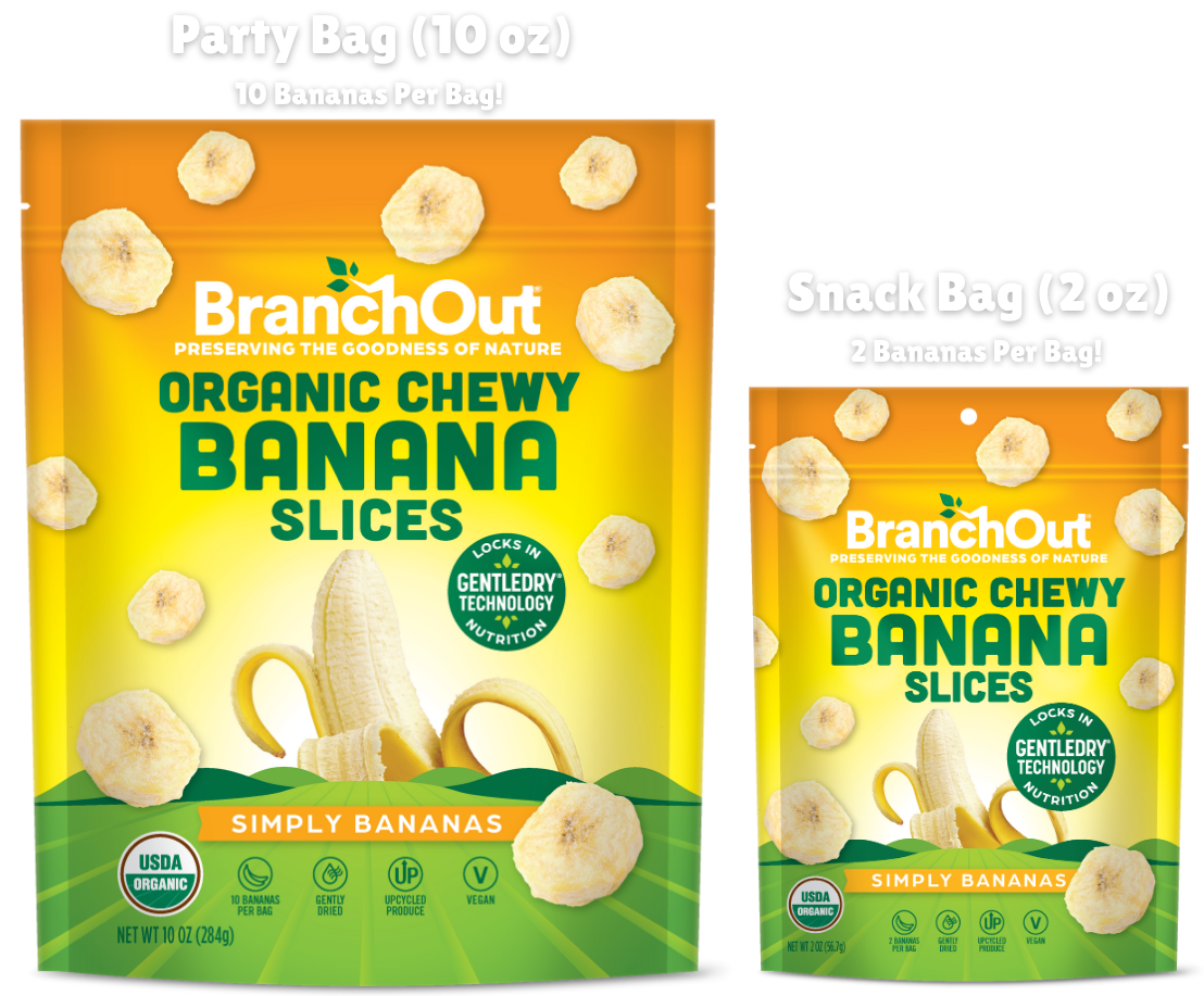 Two packages of BranchOut Organic Chewy Banana Slices on a white background