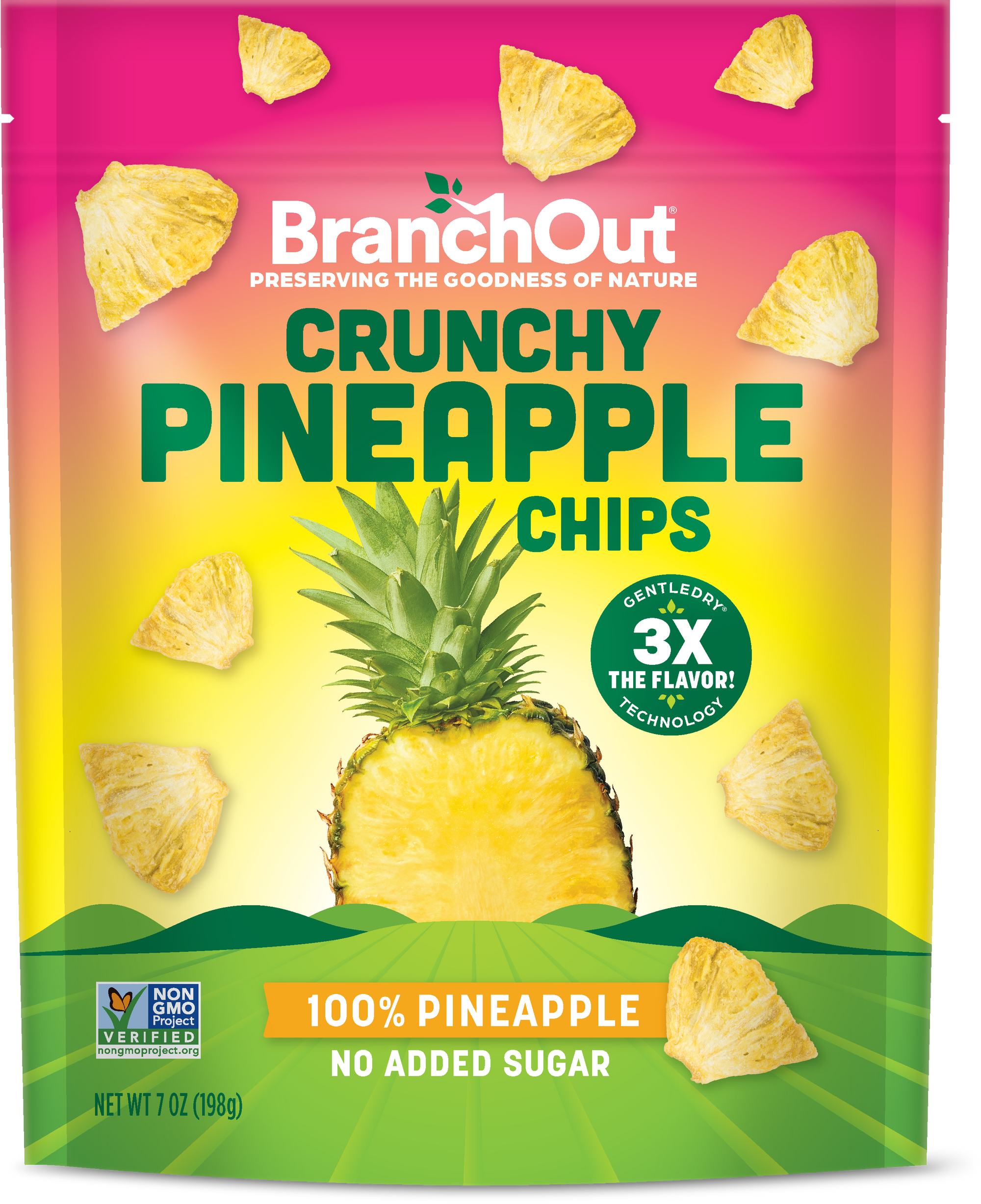 Pineapple Chips